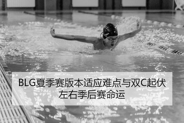 xia-ji-sai-ban-ben-shi-ying-nan-dian-yu-shuang-qi-fu-zuo-you-ji-hou-sai-ming-yun-2-489.jpg